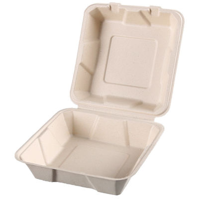Wegwerffach-Gefrierschrank-Safe des styroschaum-Zuckerrohr-Maschinenhälften-Nahrungsmittelbehälter-3