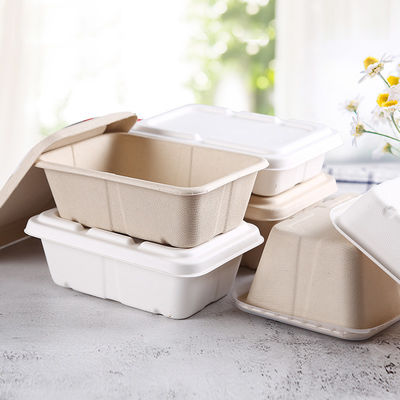 Getränkebagassen-biologisch abbaubare zum MitnehmenBrotdose